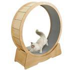 Cat Exercise Wheel