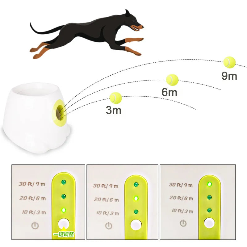 Automatic Pet Ball Launcher